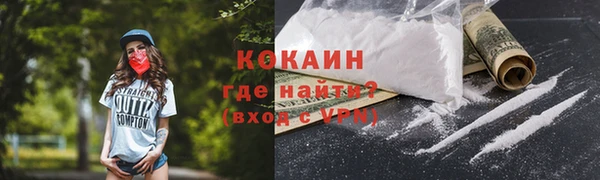 дживик Балахна