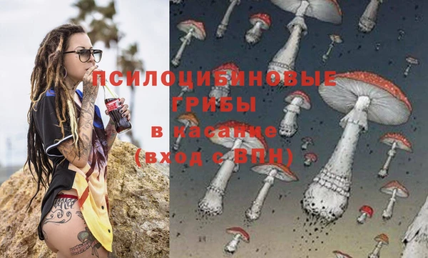 дживик Балахна