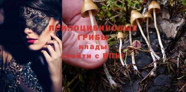 дживик Балахна